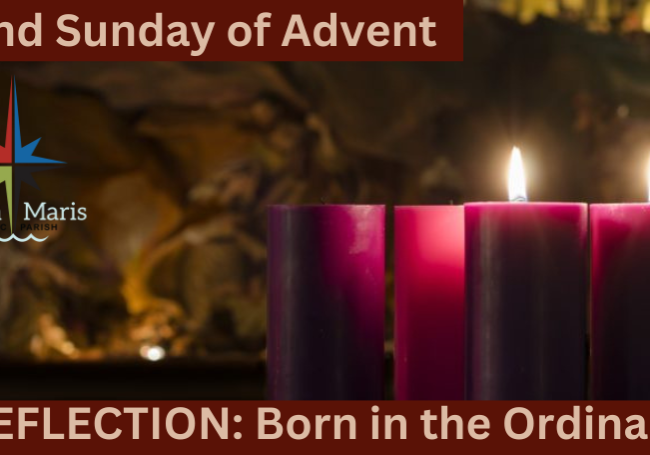 2nd Sunday Advent Stella Maris reflection
