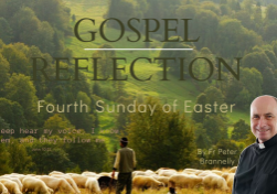 The Good shepherd Gospel reflection_5th Sunday of easter year A_Stella Maris Catholic Parish 