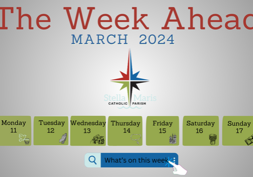Week Ahead 2024 11-17 Mar