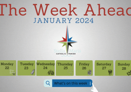 Week Ahead 22-28 Jan 2024